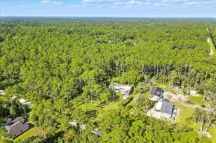 1056 Peach St, Bunnell, FL 32110 - Photo 35
