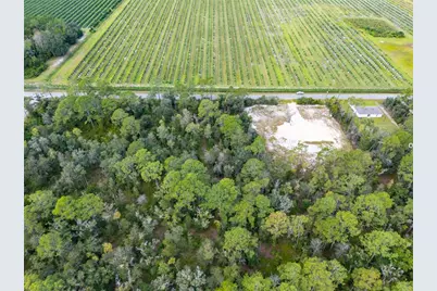 10340 Isaacson Avenue, Hastings, FL 32145 - Photo 9