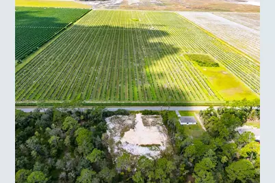 10340 Isaacson Avenue, Hastings, FL 32145 - Photo 5