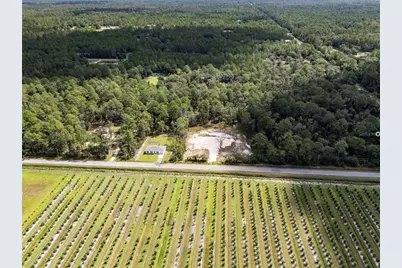 10340 Isaacson Avenue, Hastings, FL 32145 - Photo 3