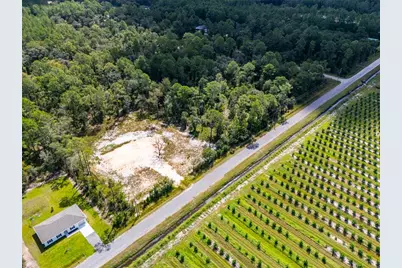 10340 Isaacson Avenue, Hastings, FL 32145 - Photo 13