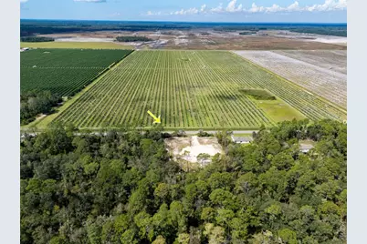 10340 Isaacson Avenue, Hastings, FL 32145 - Photo 11