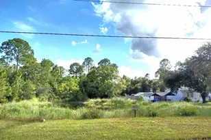 5952 Elm Ave, Bunnell, FL 32110 - Photo 25