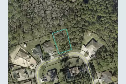 135 Ullian Trail, Palm Coast, FL 32164 - Photo 3