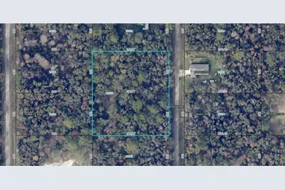 10535 Ruth Avenue, Hastings, FL 32145 - Photo 3