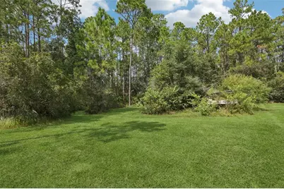 1594 Papaya Street, Bunnell, FL 32110 - Photo 41