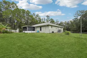 1594 Papaya St, Bunnell, FL 32110 - Photo 33
