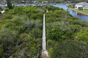 2703 Morning Light Ct, Flagler Beach, FL 32136 - Photo 67