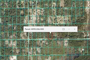 SW 155th St, Dunnellon, FL 34432 - Photo 1