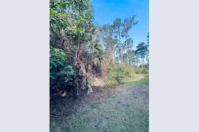 91 Emerald Lake Drive, Palm Coast, FL 32137 - Photo 5