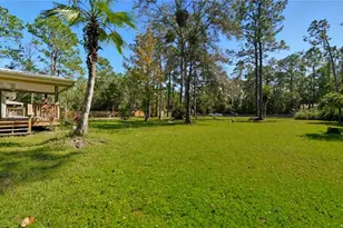 5920 Nutwood Ave, Bunnell, FL 32110 - Photo 37