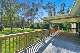 5920 Nutwood Ave, Bunnell, FL 32110 - Photo 3