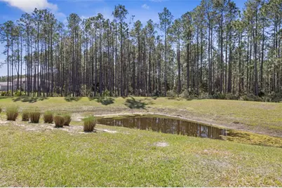 32 Redbud Road, Palm Coast, FL 32137 - Photo 33