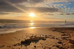 22 Ulmaceal Path, Palm Coast, FL 32164 - Photo 53