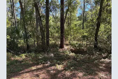 1222 Clover Terrace, Inverness, FL 34452 - Photo 1