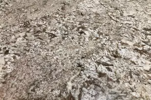 3078 Silvermines Ave, Ormond Beach, FL 32174 - Photo 29