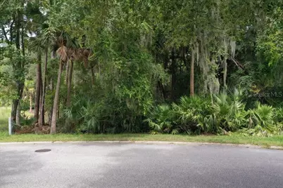 165 Willow Oak Way, Palm Coast, FL 32137 - Photo 5