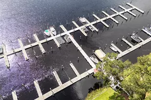 99 Broad River Pl, Welaka, FL 32193 - Photo 33