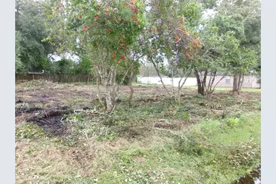 24 Lysander Lane, Palm Coast, FL 32137 - Photo 1