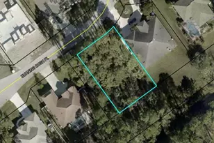 1 Burning Bush Pl, Palm Coast, FL 32137 - Photo 1