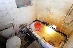 3420 S Palm Ave, Palatka, FL 32177 - Photo 15