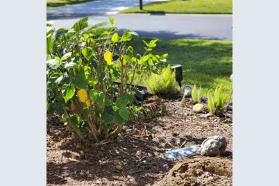 107 Raintree Circle, Palm Coast, FL 32164 - Photo 31