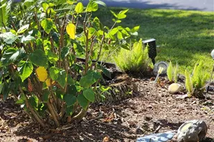 107 Raintree Cir, Palm Coast, FL 32164 - Photo 31