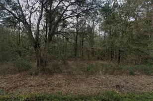 4775 Inez St, Hastings, FL 32145 - Photo 1