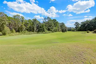 3520 Oglebay Dr, Green Cove Springs, FL 32043 - Photo 55