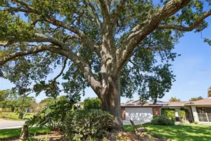 1 Flametree Ct, Palm Coast, FL 32137 - Photo 55