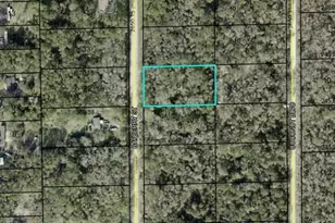 1817 Bayberry St, Bunnell, FL 32110 - Photo 1