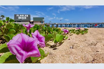 3 Golden Oak Way, Palm Coast, FL 32137 - Photo 53