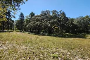 0000 Roos Ln, Deland, FL 32724 - Photo 1