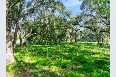 Roberts Road, Pierson, FL 32180 - Photo 11