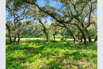 Roberts Road, Pierson, FL 32180 - Photo 9