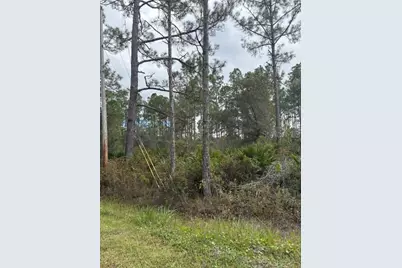 2311 Beech Boulevard, Bunnell, FL 32110 - Photo 7