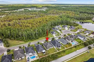 139 N Starling Dr, Palm Coast, FL 32164 - Photo 59