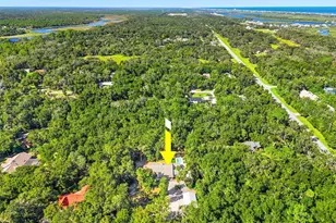3 Creek Bluff Run, Flagler Beach, FL 32136 - Photo 49