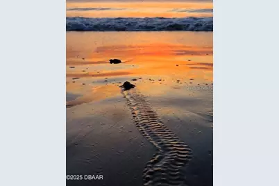 23 Sunrise Avenue, Ormond Beach, FL 32176 - Photo 13