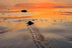 23 Sunrise Ave, Ormond Beach, FL 32176 - Photo 13