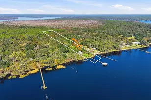 266 Drayton Island Rd, Georgetown, FL 32139 - Photo 99