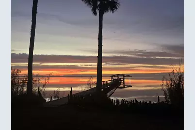 266 Drayton Island Road, Georgetown, FL 32139 - Photo 19