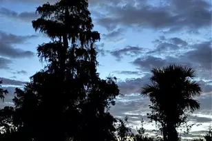 1155 Glendora Rd N, Kissimmee, FL 34759 - Photo 3