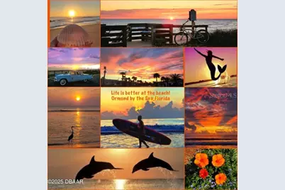 11 Sunrise Avenue, Ormond Beach, FL 32176 - Photo 53