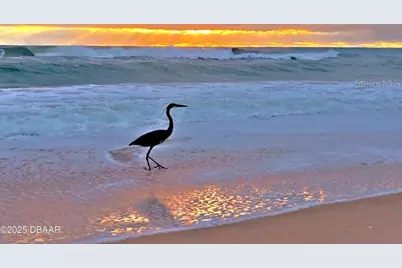 11 Sunrise Avenue, Ormond Beach, FL 32176 - Photo 45