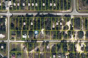 346 Morningside Dr, Lake Placid, FL 33852 - Photo 3