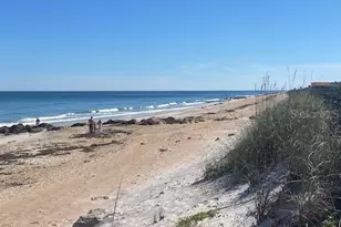 8 Laughing Gull Ln, Palm Coast, FL 32137 - Photo 63