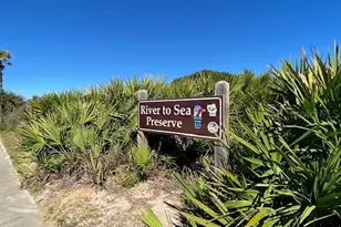 8 Laughing Gull Ln, Palm Coast, FL 32137 - Photo 61