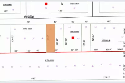 00 Unassigned Road, Interlachen, FL 32148 - Photo 5