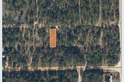 00 Unassigned Road, Interlachen, FL 32148 - Photo 3